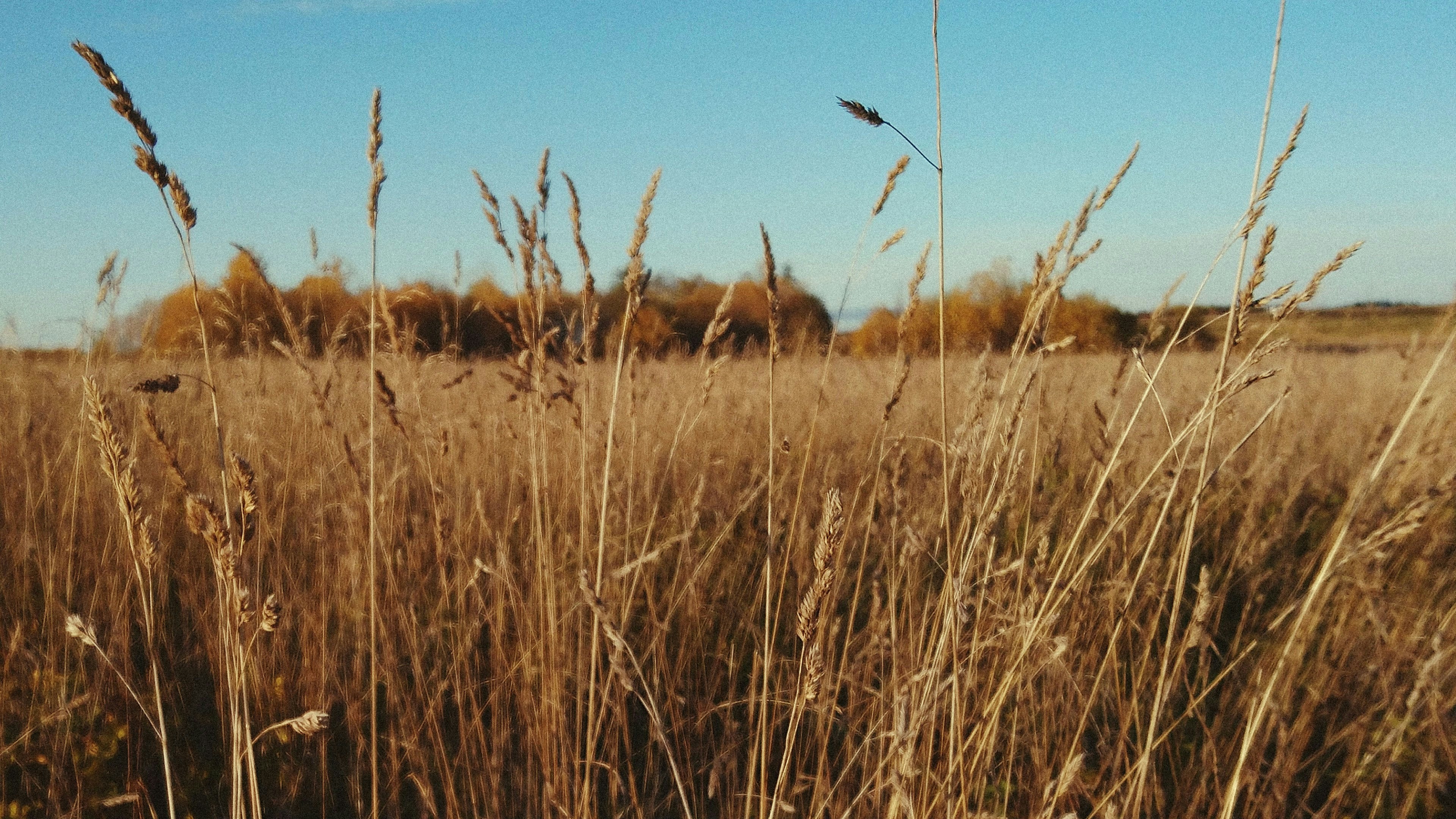 Quiz de la semaine :  Production agricole, espérance de vie sans incapacité et énergies