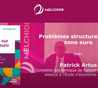 Problèmes structurels de la zone euro​ (Patrick Artus)