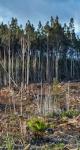 Quiz de France stratégie sur l'environnement